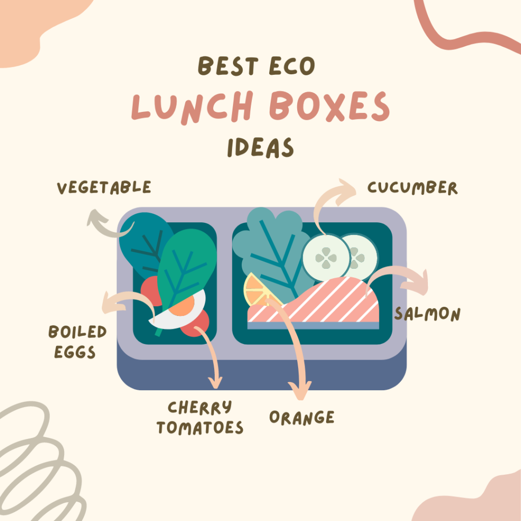 best eco friendly lunch boxes