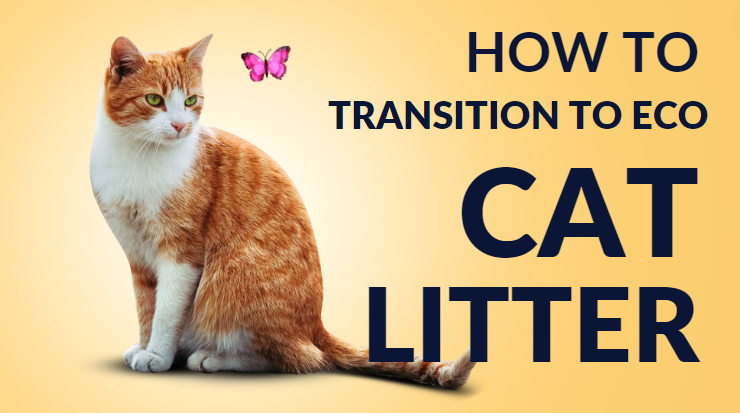 transition eco cat litter