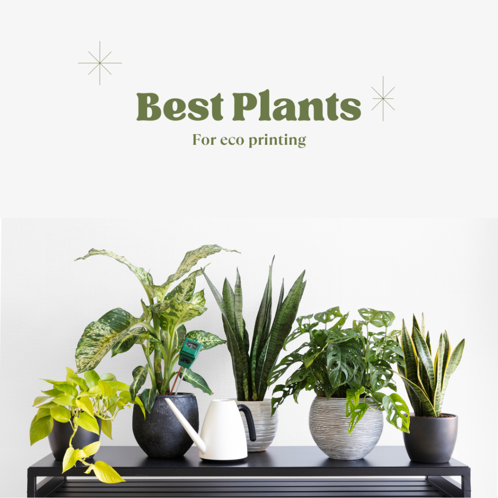 best plants for eco printing