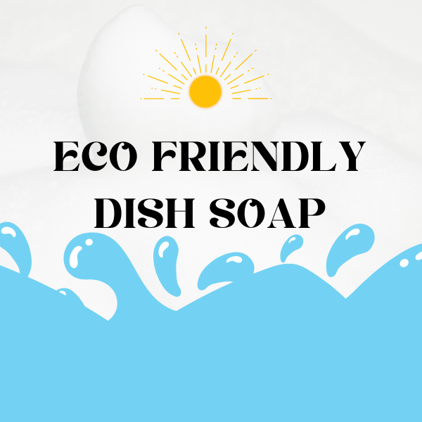 best eco friendly dish soaps